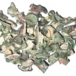 Peruvian Torch Dried Skin