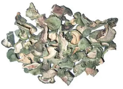 Peruvian Torch Dried Skin