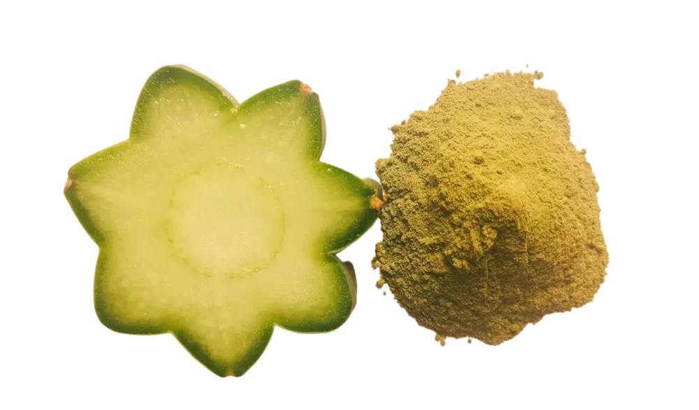 San pedro cactus Powder